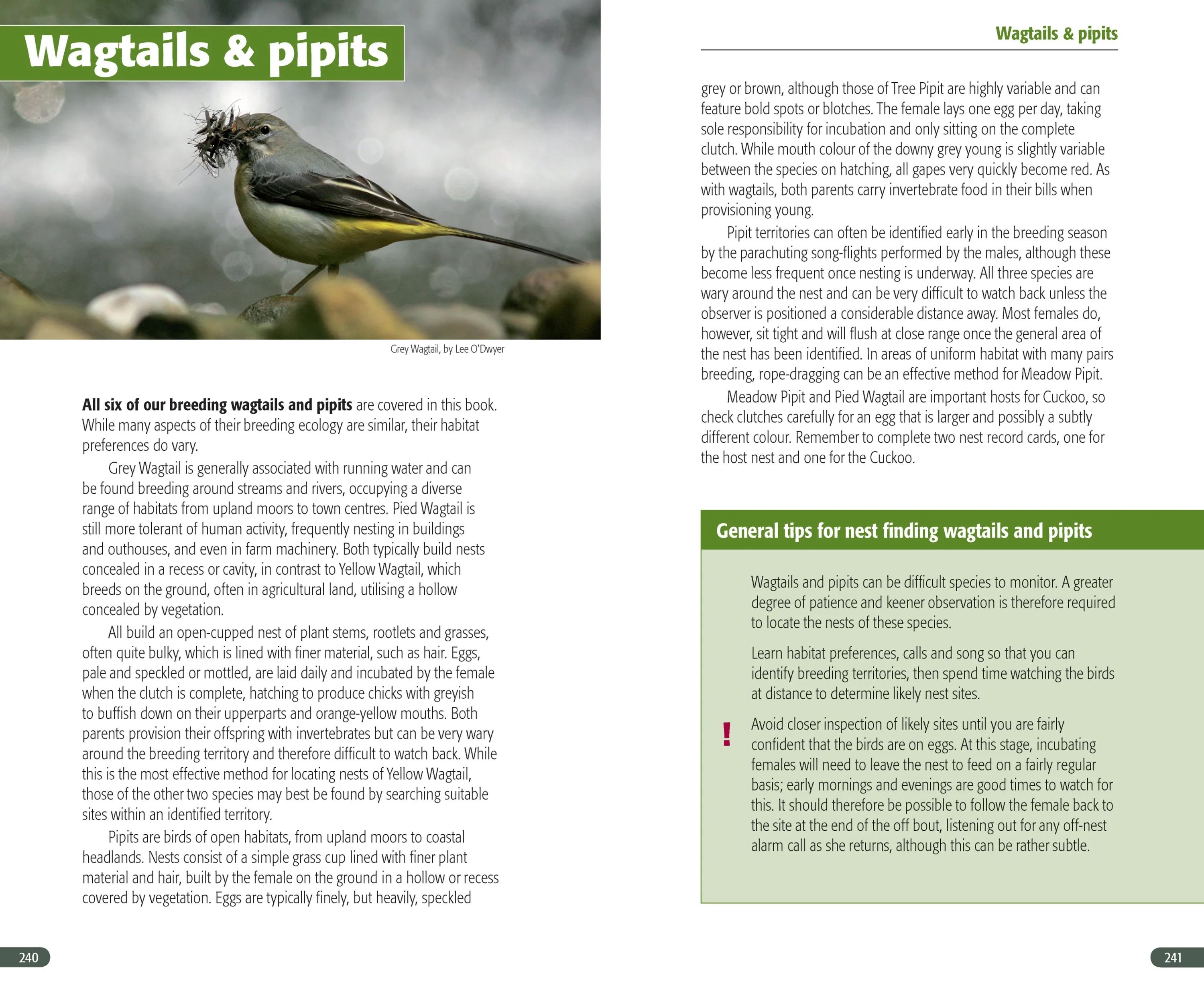 A Field Guide to Monitoring Nests