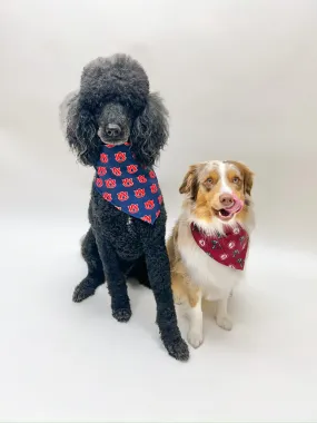 All Star Collegiate Dog Bandana