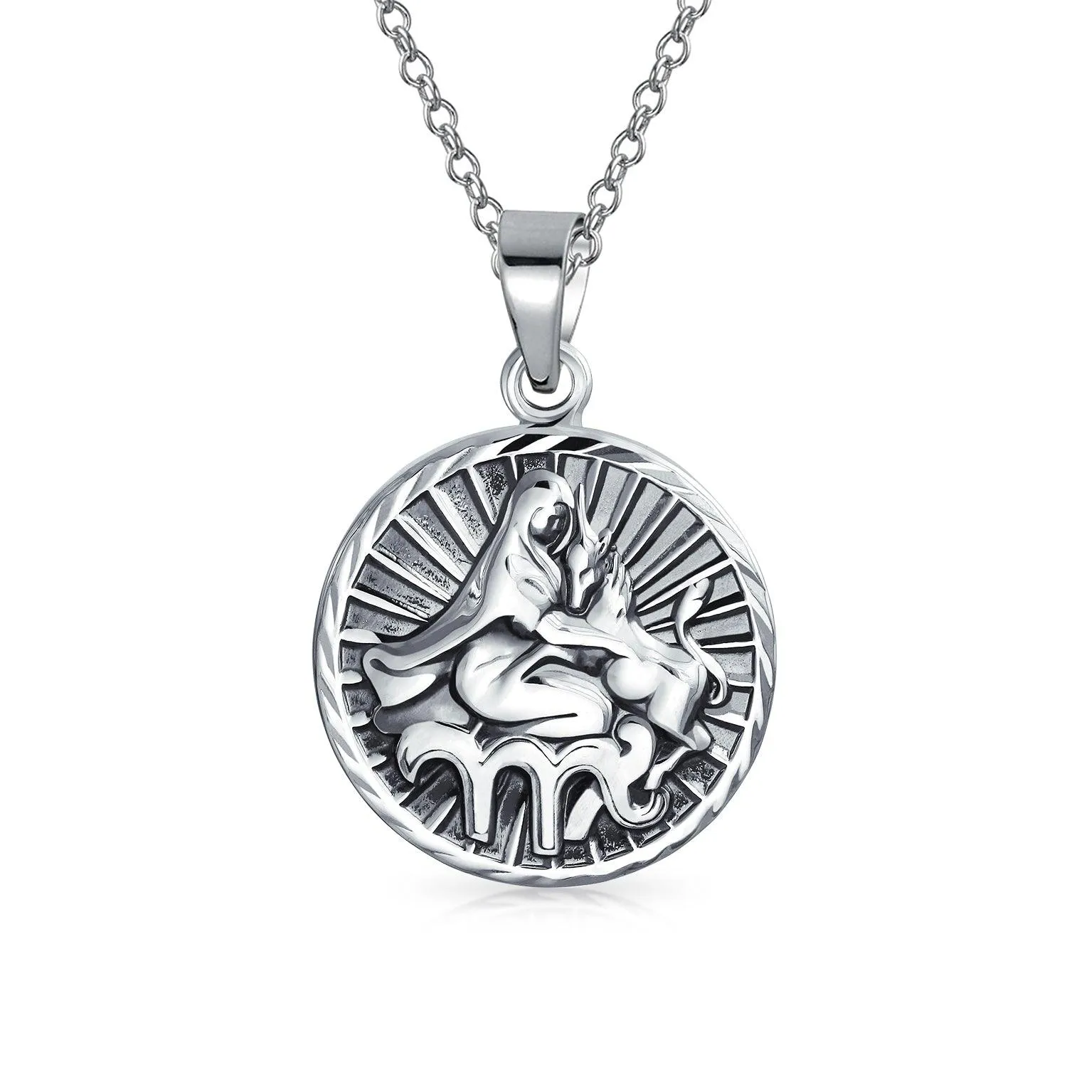 Astrology Horoscope Disc Medallion Pendant Necklace Zodiac 12 Signs