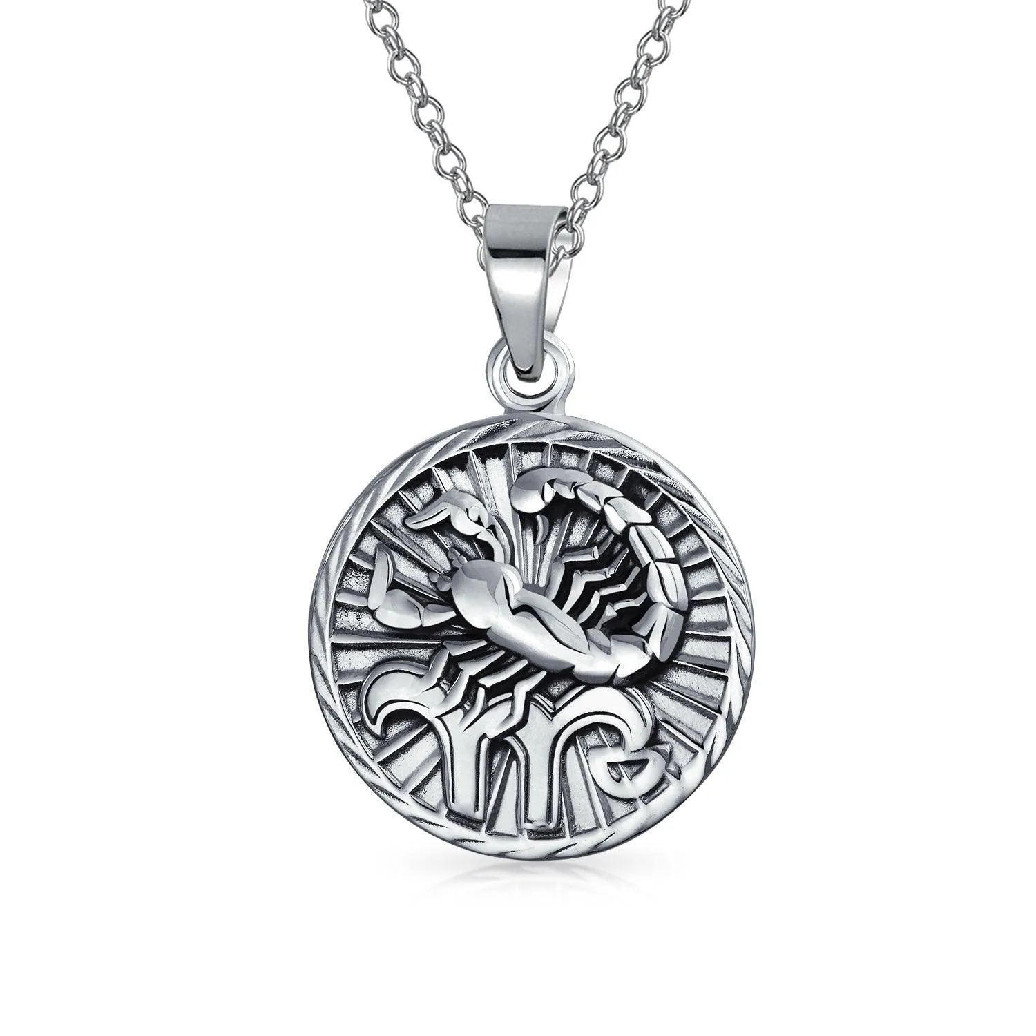 Astrology Horoscope Disc Medallion Pendant Necklace Zodiac 12 Signs