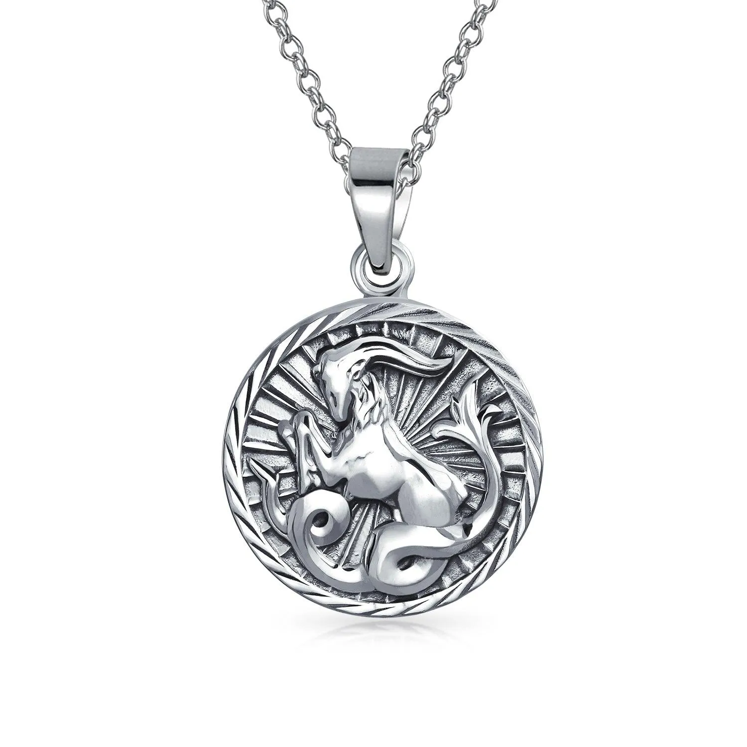 Astrology Horoscope Disc Medallion Pendant Necklace Zodiac 12 Signs