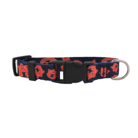 Auburn University Pet Team Collar