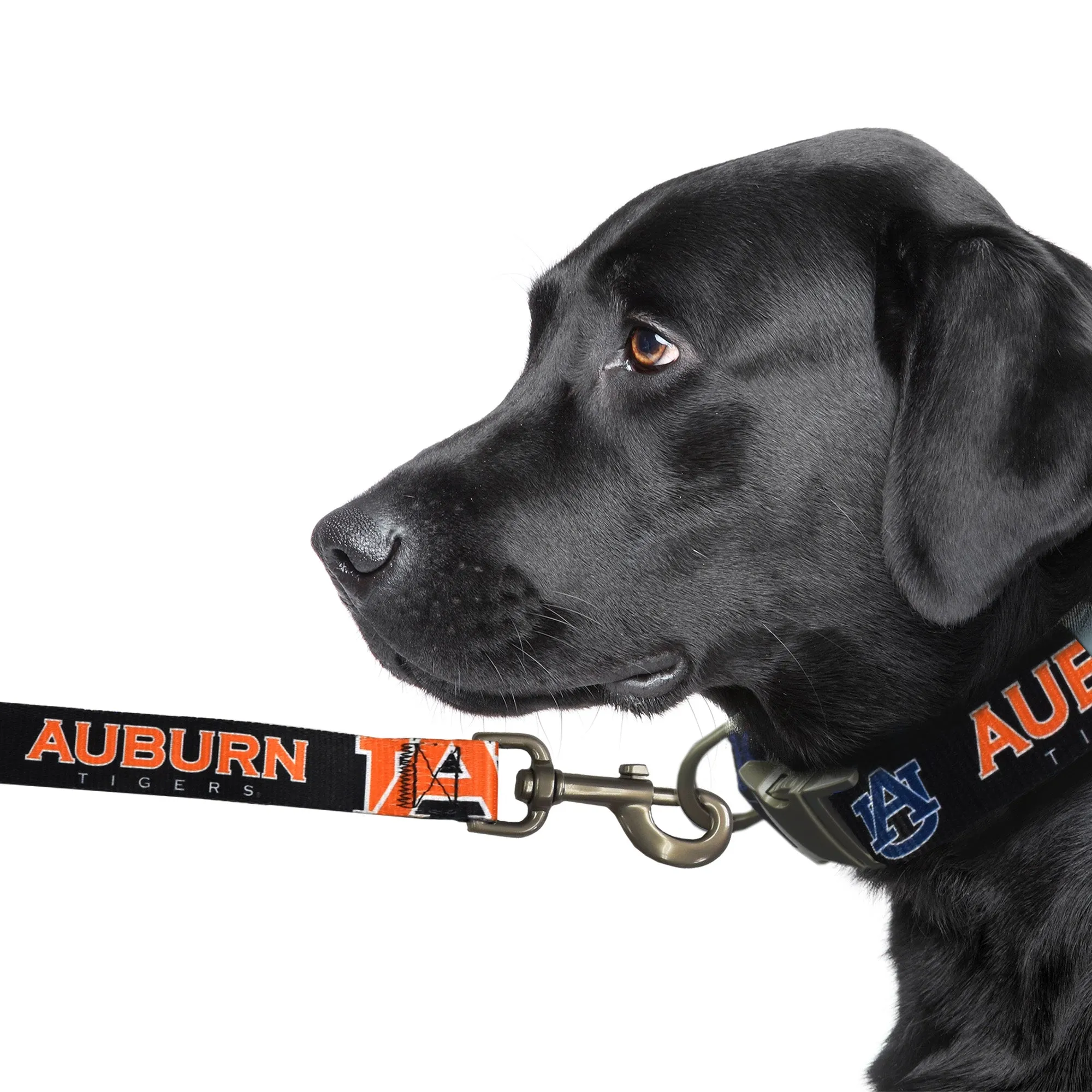 Auburn University Premium Pet Lead