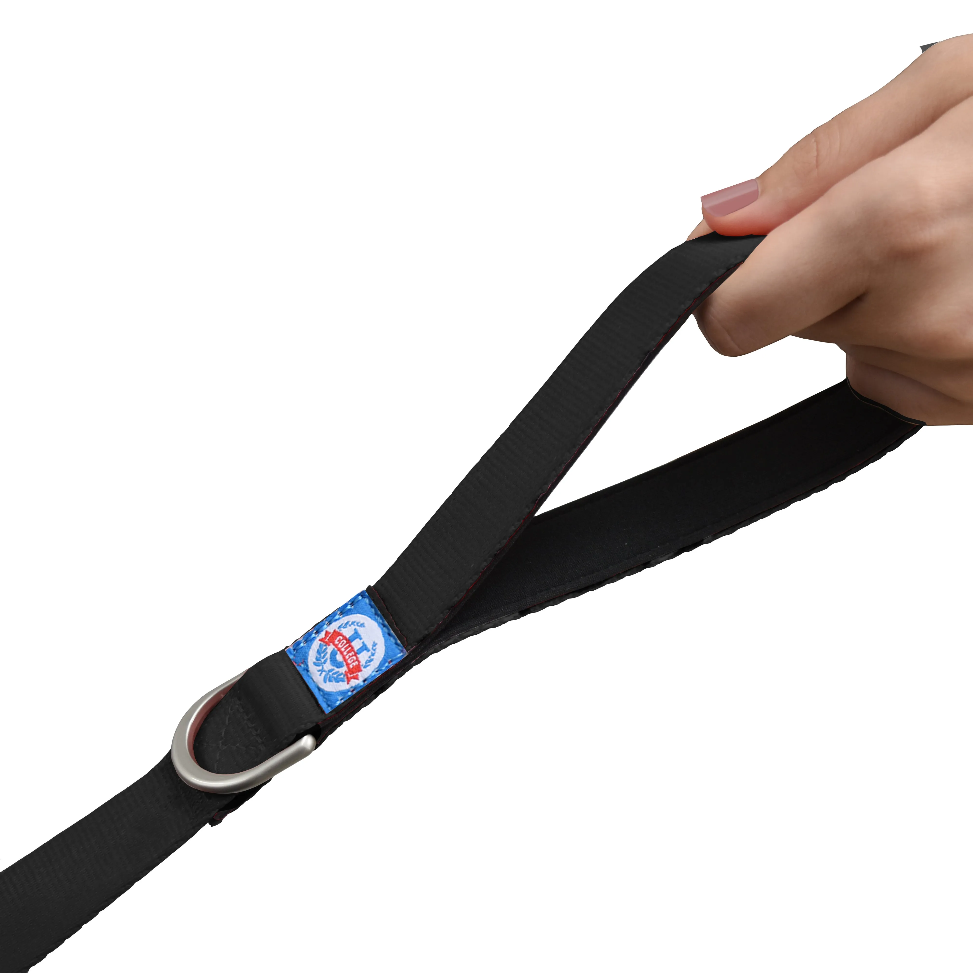 Auburn University Premium Pet Lead