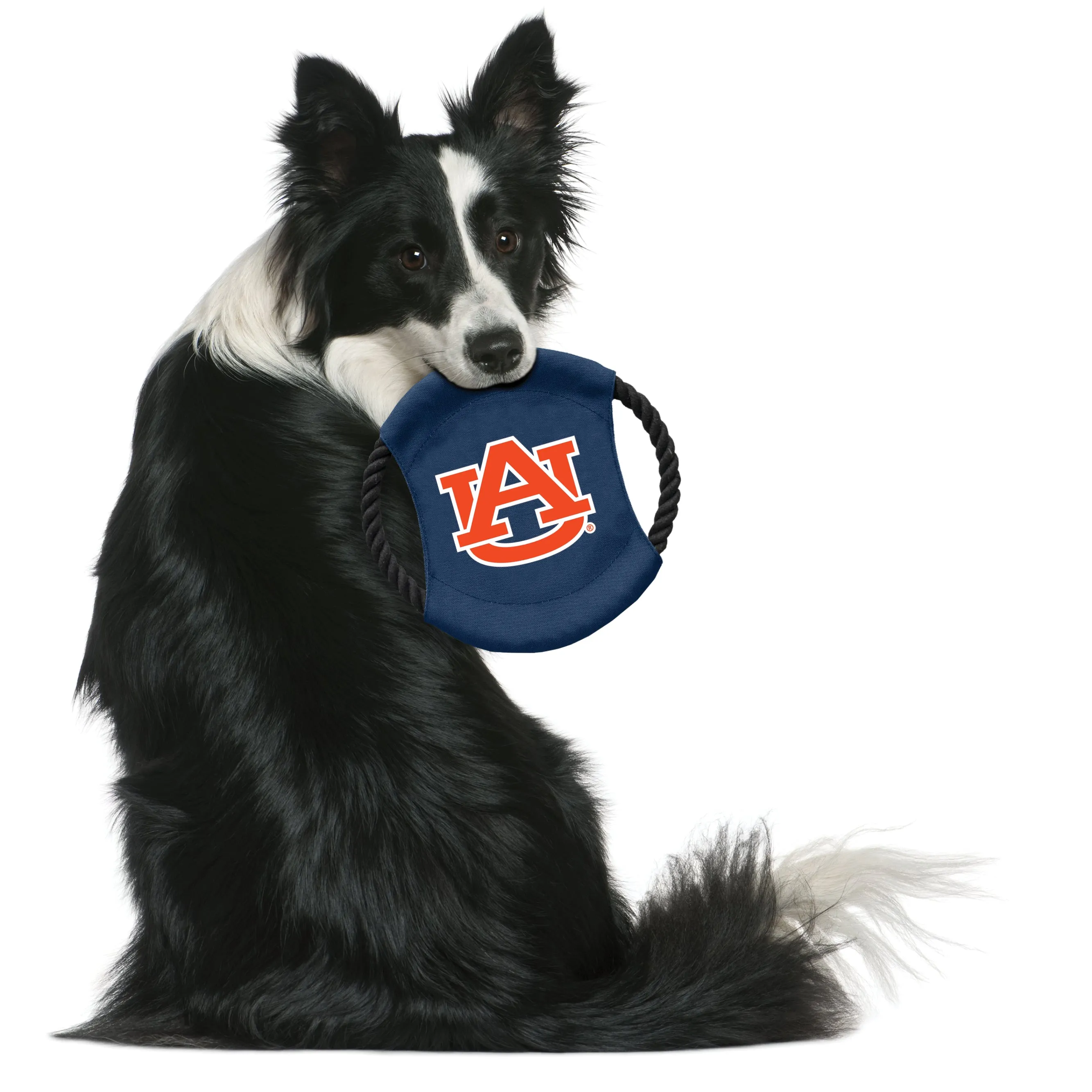 Auburn University Team Flying Disc Pet Toy