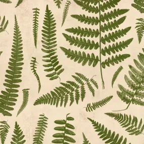 Boho Chic Ferns | Boho Chic Ferns