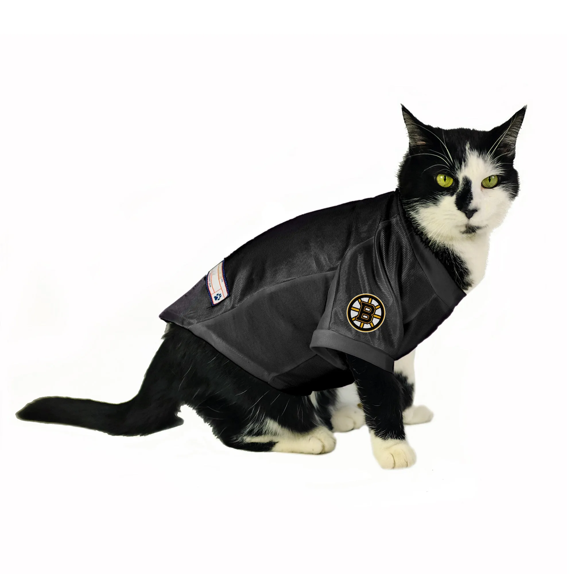 Boston Bruins Custom Pet Stretch Jersey