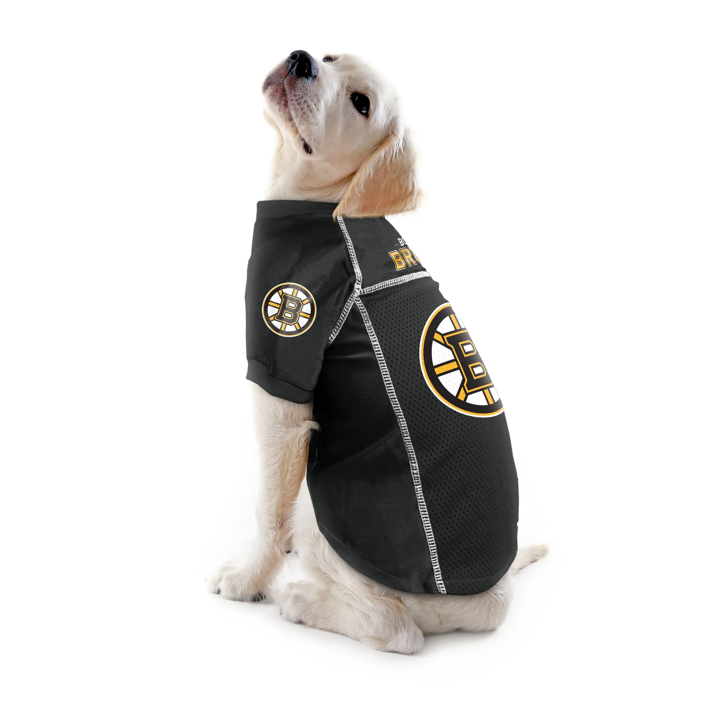 Boston Bruins Pet Jersey