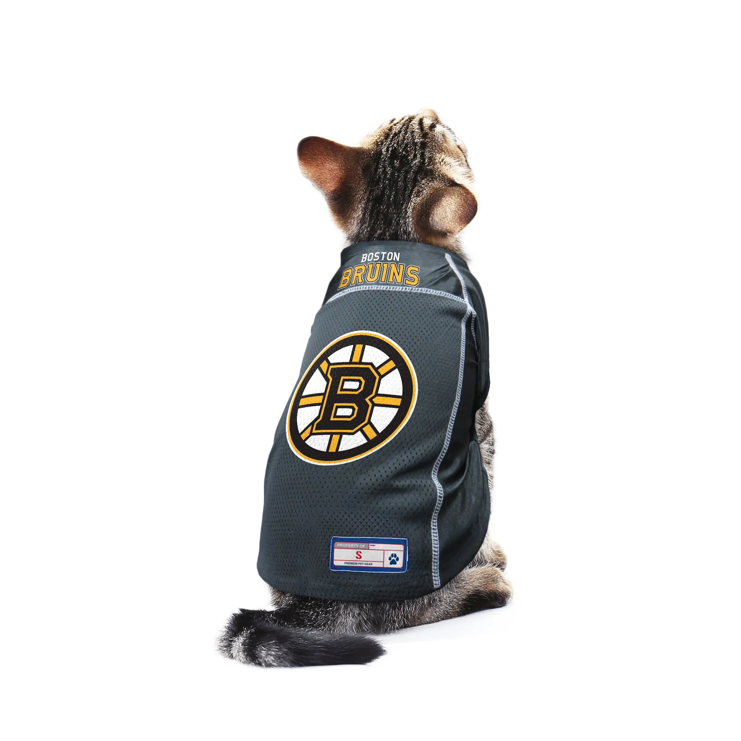 Boston Bruins Pet Jersey