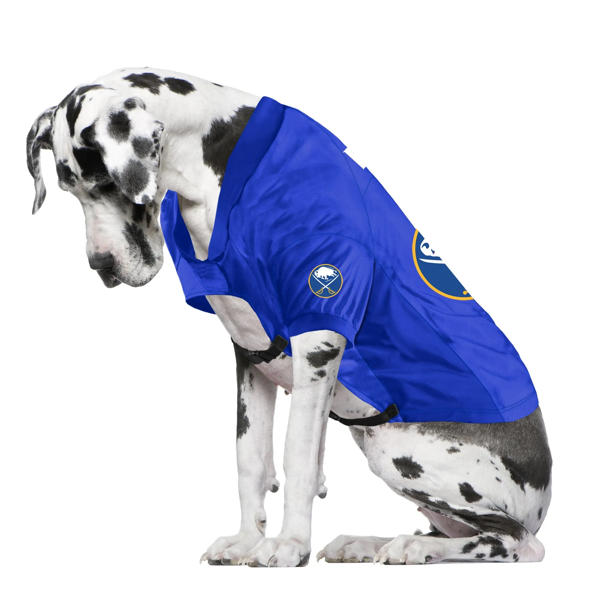 Buffalo Sabres Big Pet Stretch Jersey