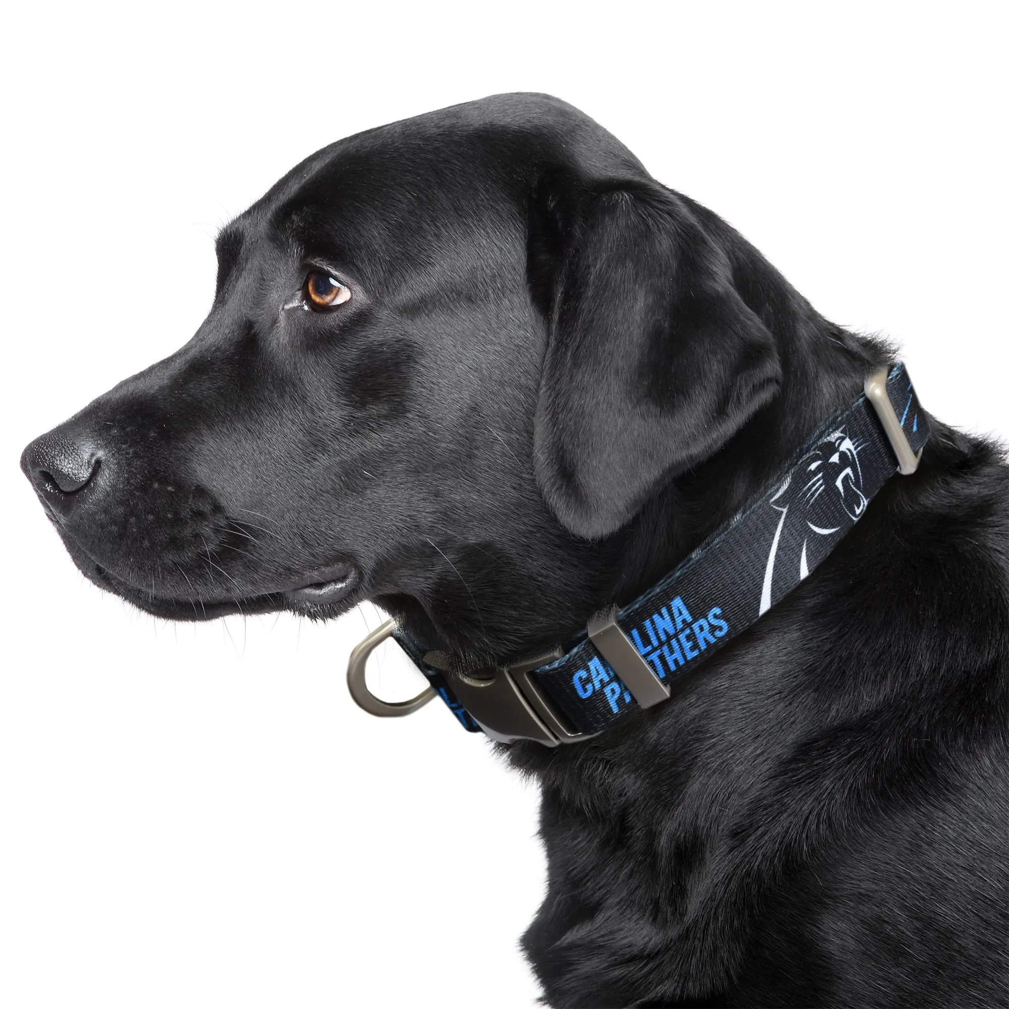 Carolina Panthers Premium Pet Collar