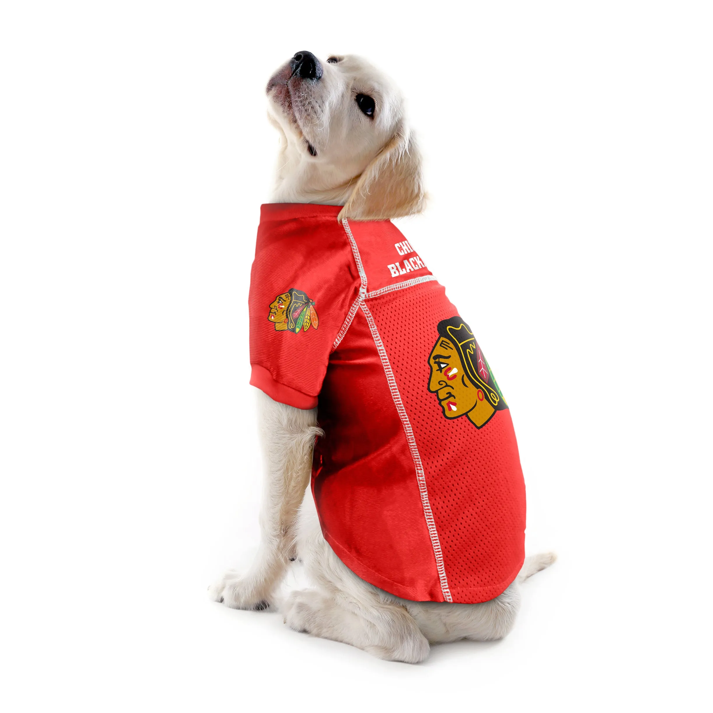 Chicago Blackhawks Pet Jersey