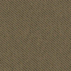 Ecotone - Arid - 4092 - 06 - Half Yard