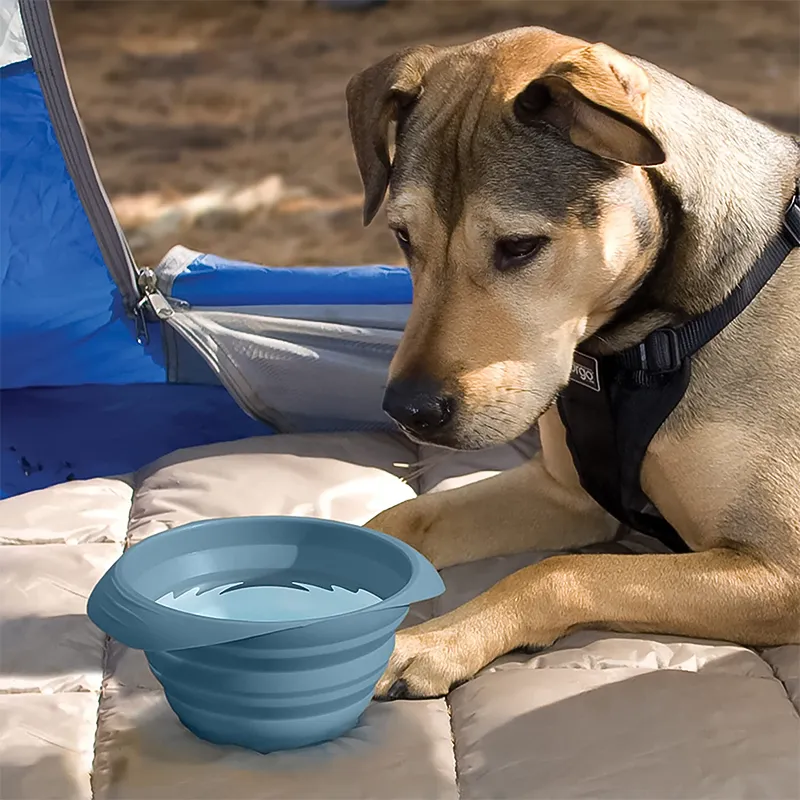 Kurgo Collaps A Bowl