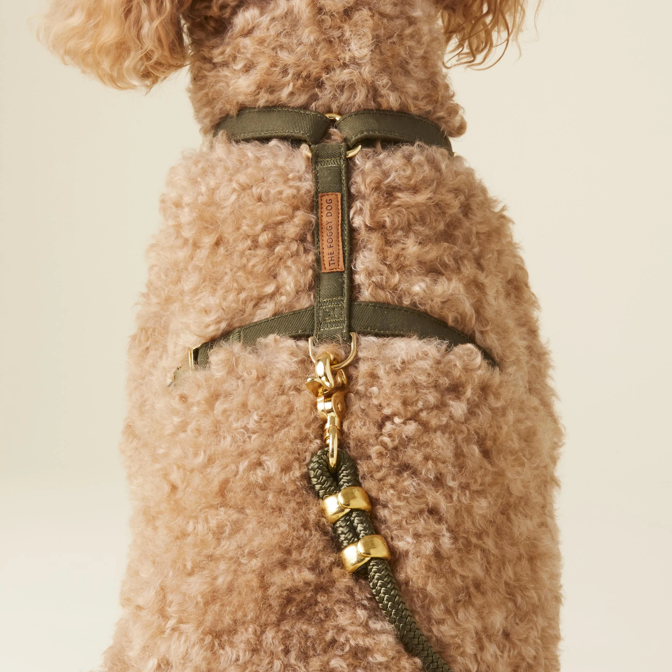 Olive Dog Harness