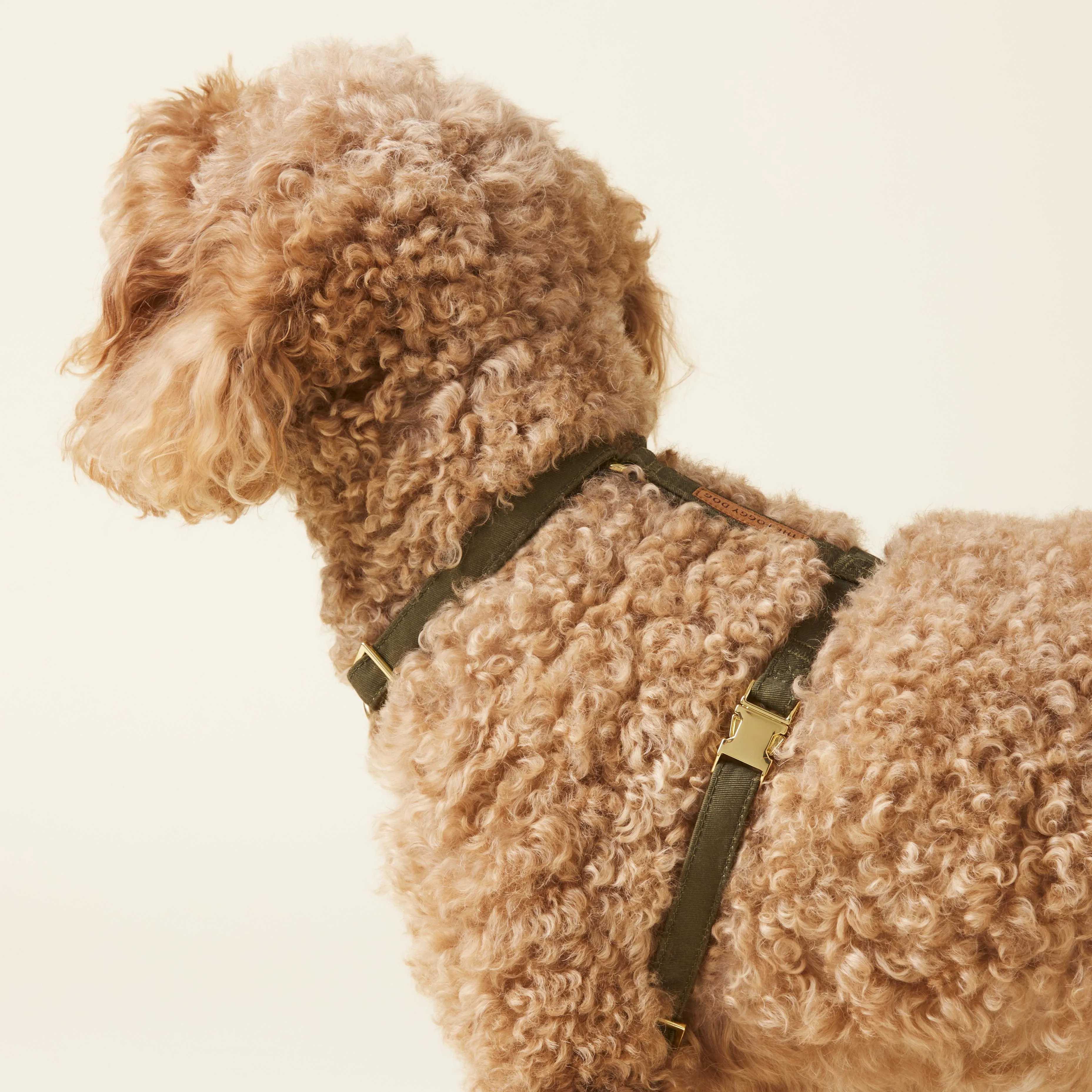 Olive Dog Harness