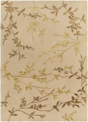 Rsiplake Transitional Dark Beige Area Rug