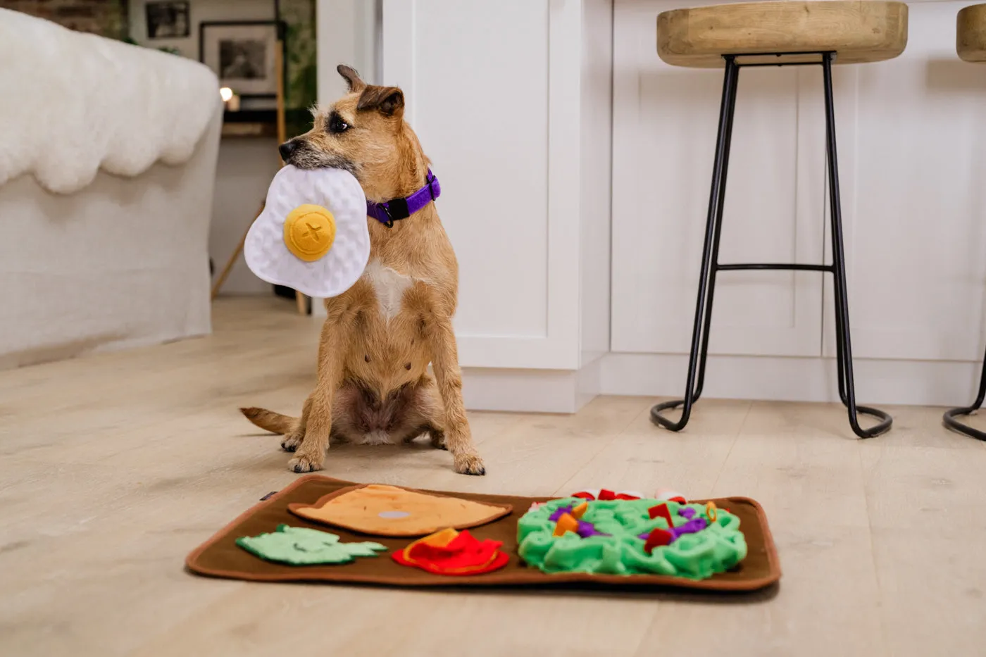 Savory Sunrise Snuffle Mat