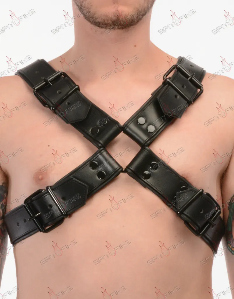 Stealth Harness